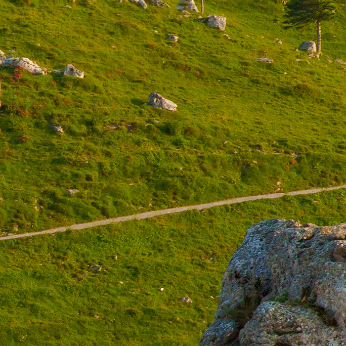 Detail-Ausschnitt aus dem oberen Bild