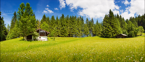 Foto Bergwiese beim Heuberg