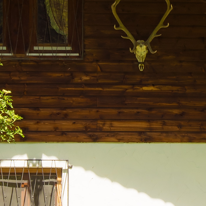 Detail-Ausschnitt aus dem oberen Bild