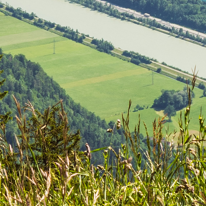 Detail-Ausschnitt aus dem oberen Bild