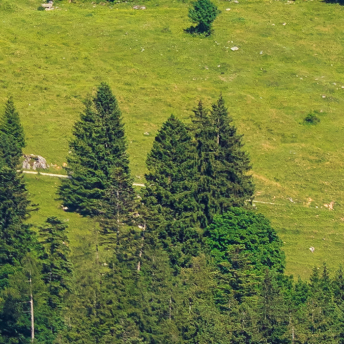 Detail-Ausschnitt aus dem oberen Bild